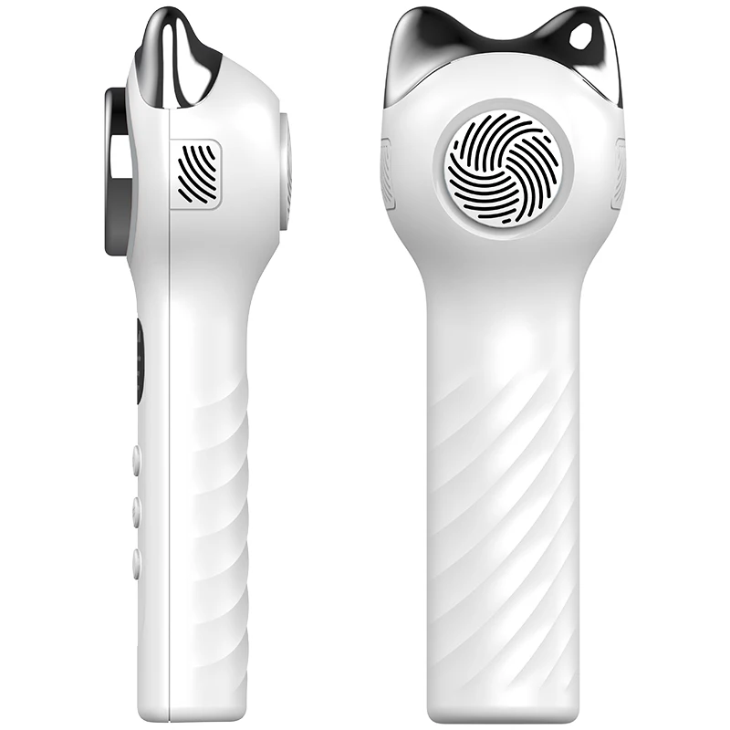 最新の冷温両用アイフェイススキン若返りしわ除去アイスハンマーホットコールドコンプレススキンケア美容機器