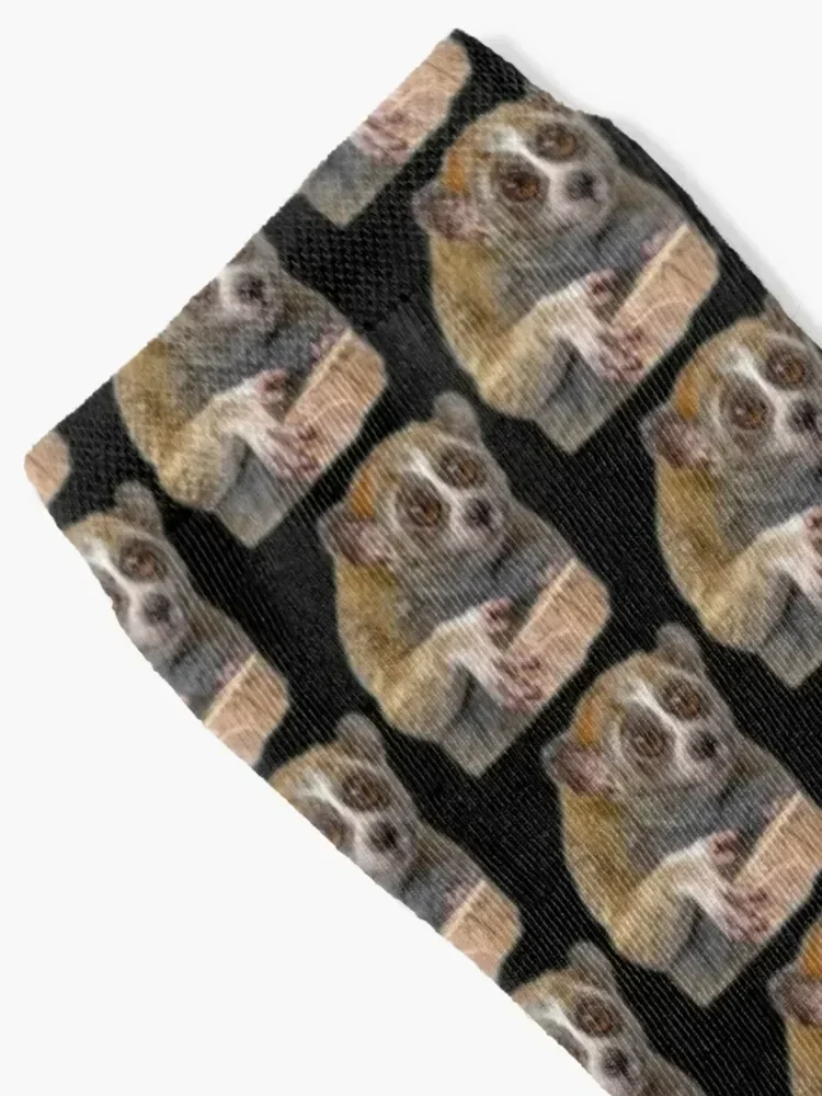 Slow Loris Socks cute sports stockings Non-slip Socks Woman Men's