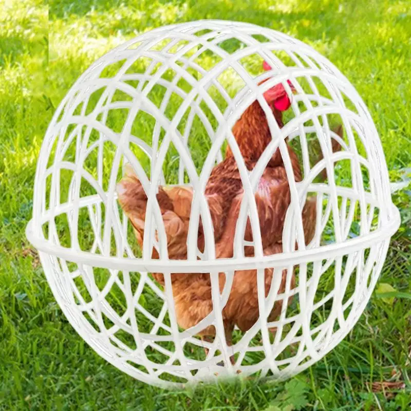 Ball Cage For Chick…