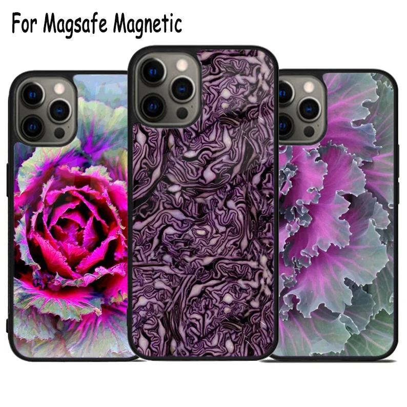 Healthy Purple Cabbage Vegetable Wireless Charge Magsafe Phone Case For iPhone 15 16 14 13 11 12 Pro Max Plus Magnetic Cover