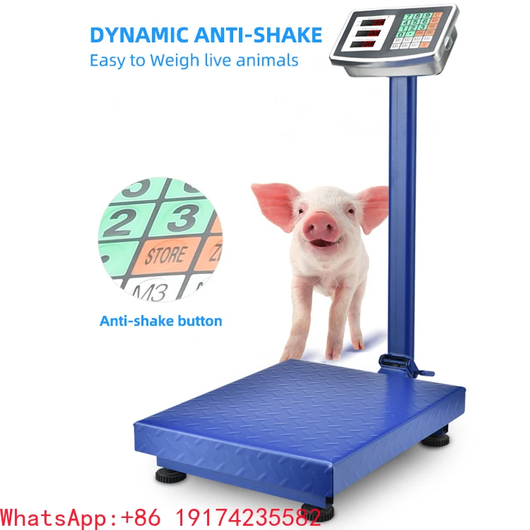 

Weigh Scale Display Electronic Price Platform Scale Platform Scale 300kg