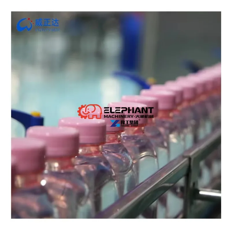 Factory Complete Machine Drinking Mineral Water Production Washing Bottling Filling Capping Production Line for Bottling Plant