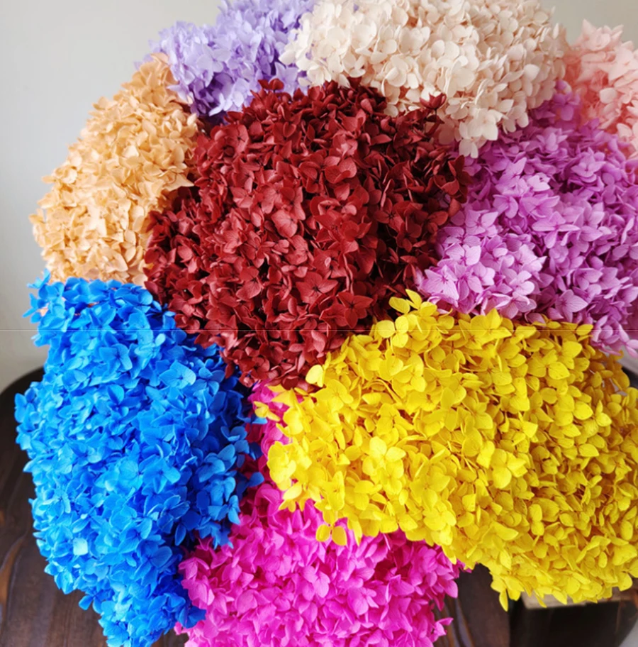 Hortensia preservada Natural de Anna con tallo, cabeza de 20-25cm, 45cm de largo, hoja pequeña, Hortensia, decoración de fiesta para el hogar, flores artesanales