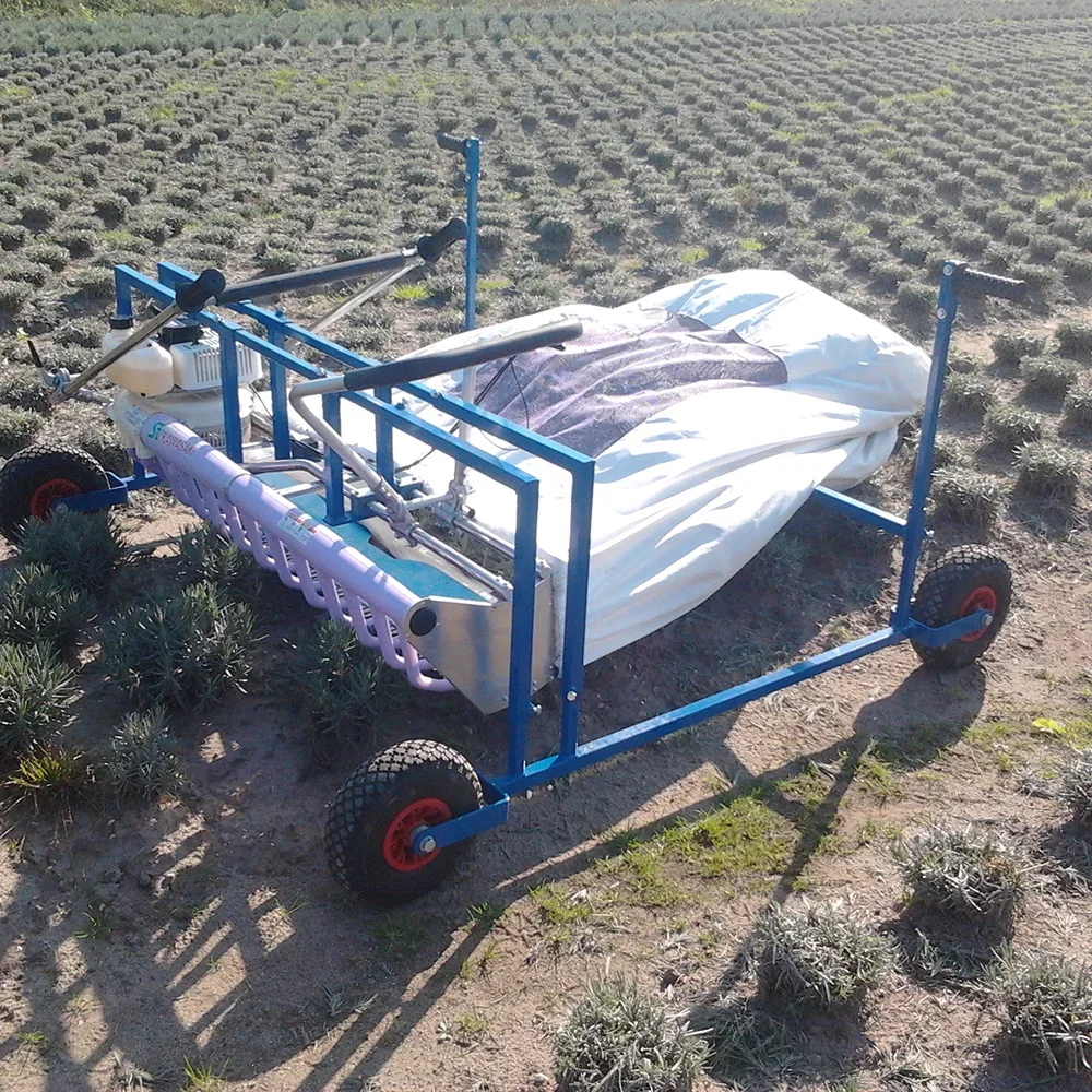 High Quality G4k Engine 1200mm Tea Harvester Two Men Combine Harvesting Machine