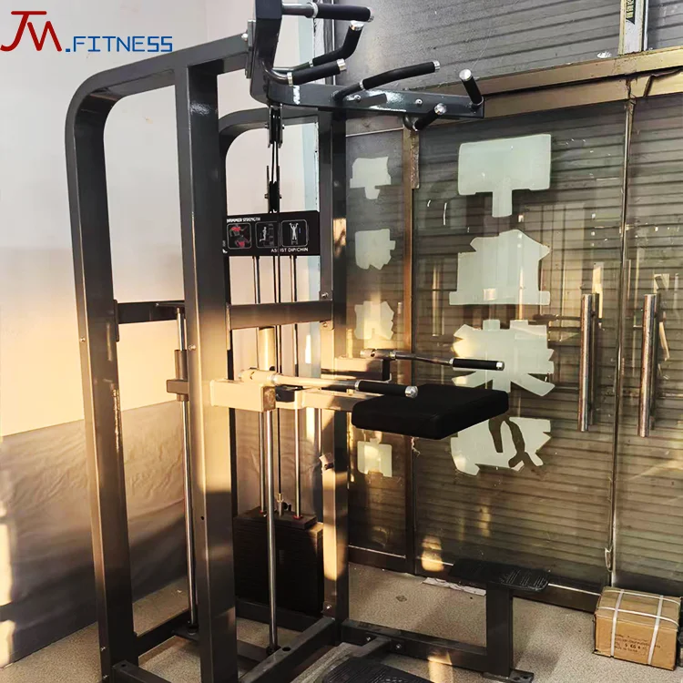 

Factory Direct Commercial Gym Fitness Equipment Trainer Exercise Chin Dip Assist Machine Made of Steel
