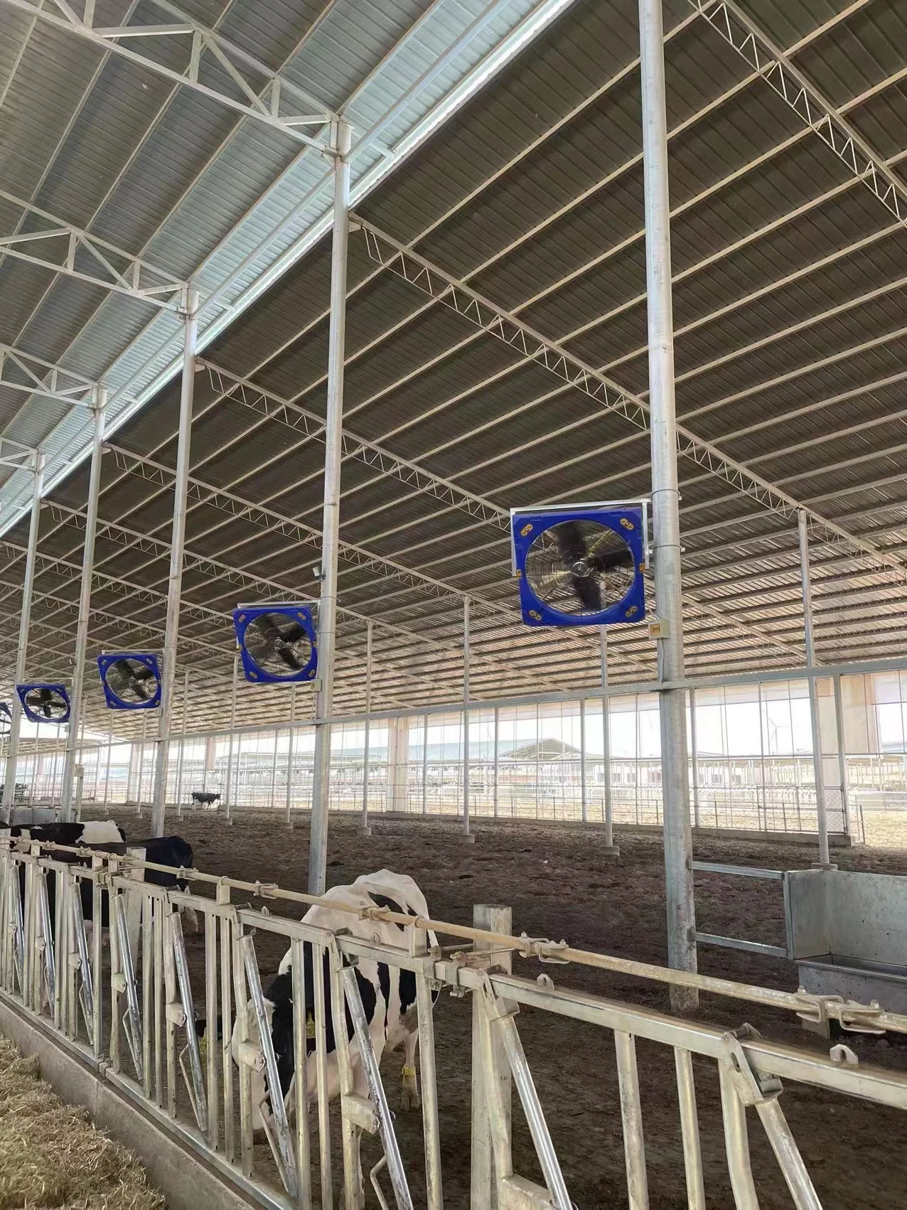 jinlong fanctory supply Cattle farm Cooling Fan Circulating fan for dairy farm