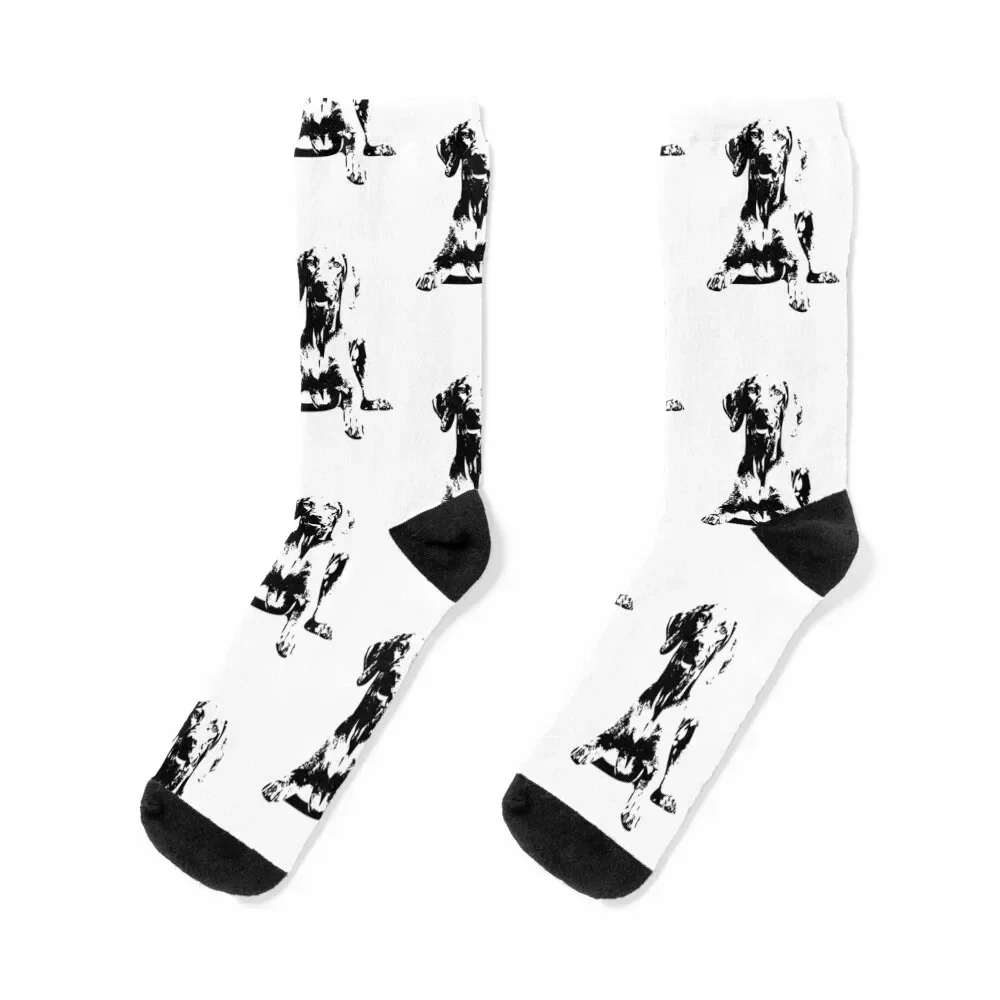 

Vizsla Modern Pop Socks heated loose with print new in's Socks Male Women's