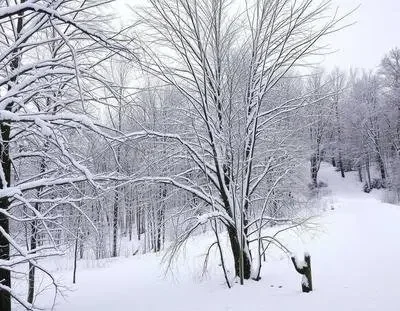 

Краска-маркер для ремонта царапин на автомобиле, подходит для Hyundai ix35, цвет Polar White, специальная ручка для подкраски, аксессуары для автомобиля, ремонт автомобильной краски.