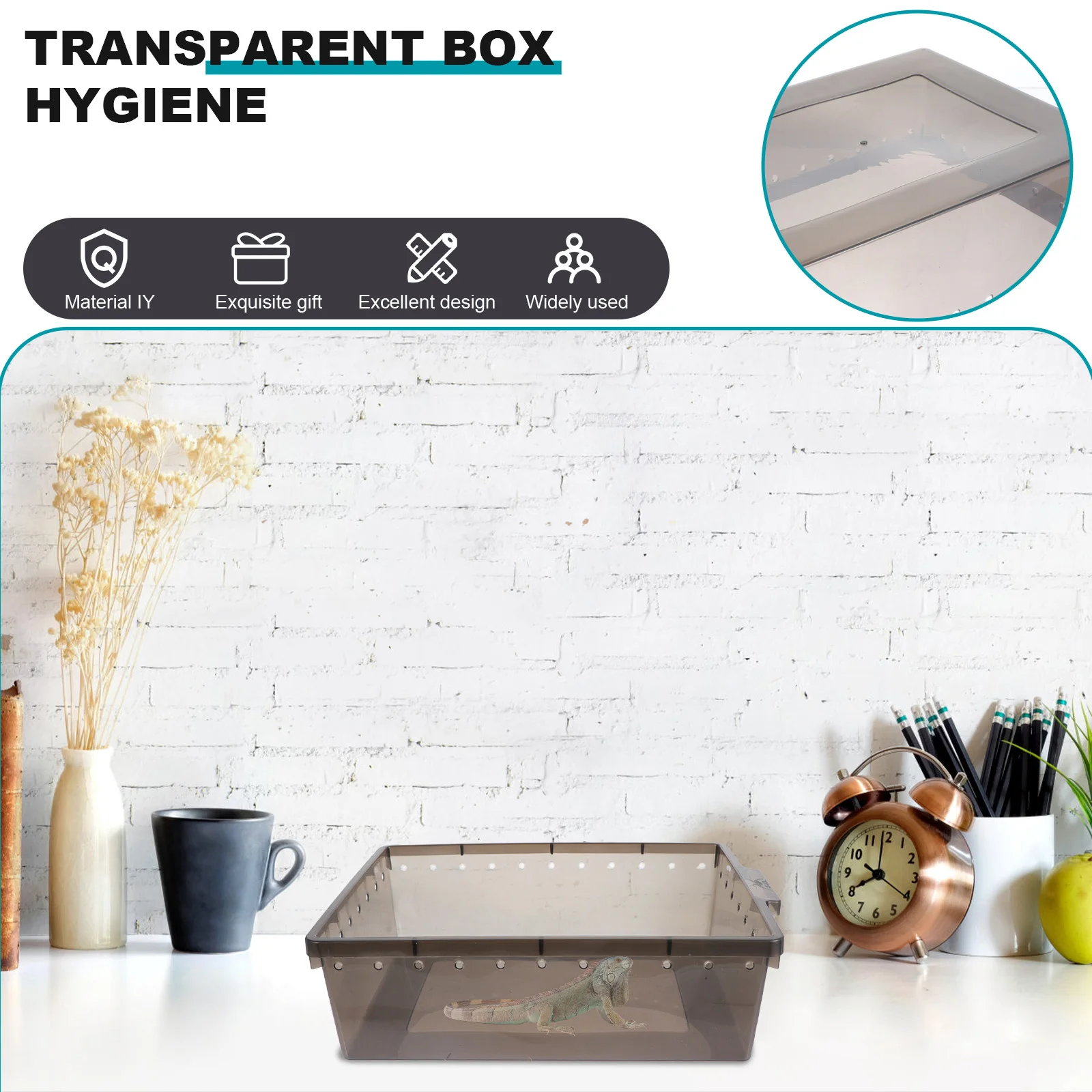 

Plastic Reptile Feeding Box Transparent Hatching Container for Spiders Lizards Small Turtles Frog Snake Display Box Durable