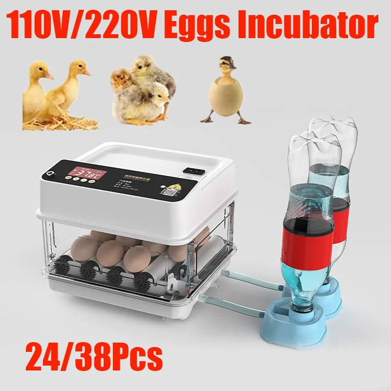 

110V/220V Eggs Incubator Brooder Automatic Farm Incubation Tools Bird Quail Chick Hatchery Poultry Hatcher Turner 24/38pcs