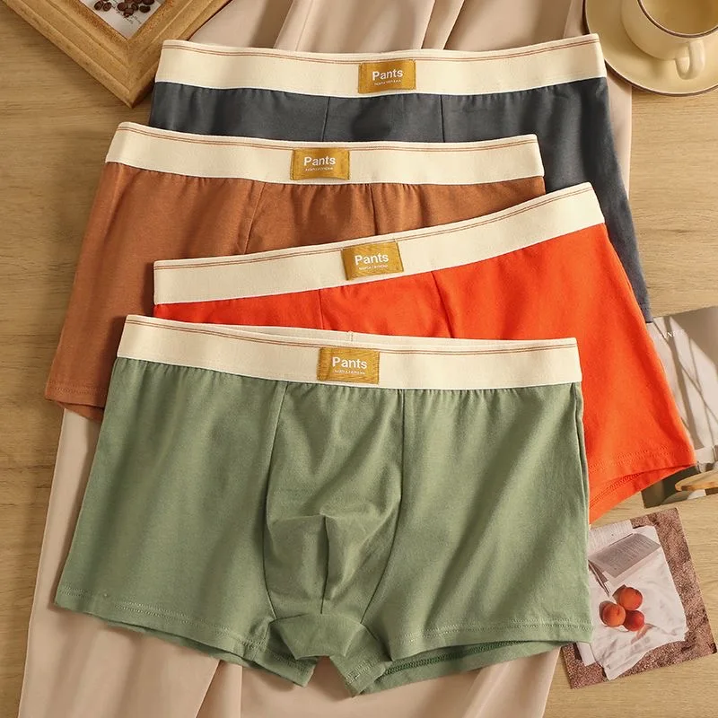 3 pezzi intimo uomo cotone Stretch uomo Boxer pantaloncini traspiranti morbidi maschili mutande comode ragazzo uomo mutandine XL-7XL