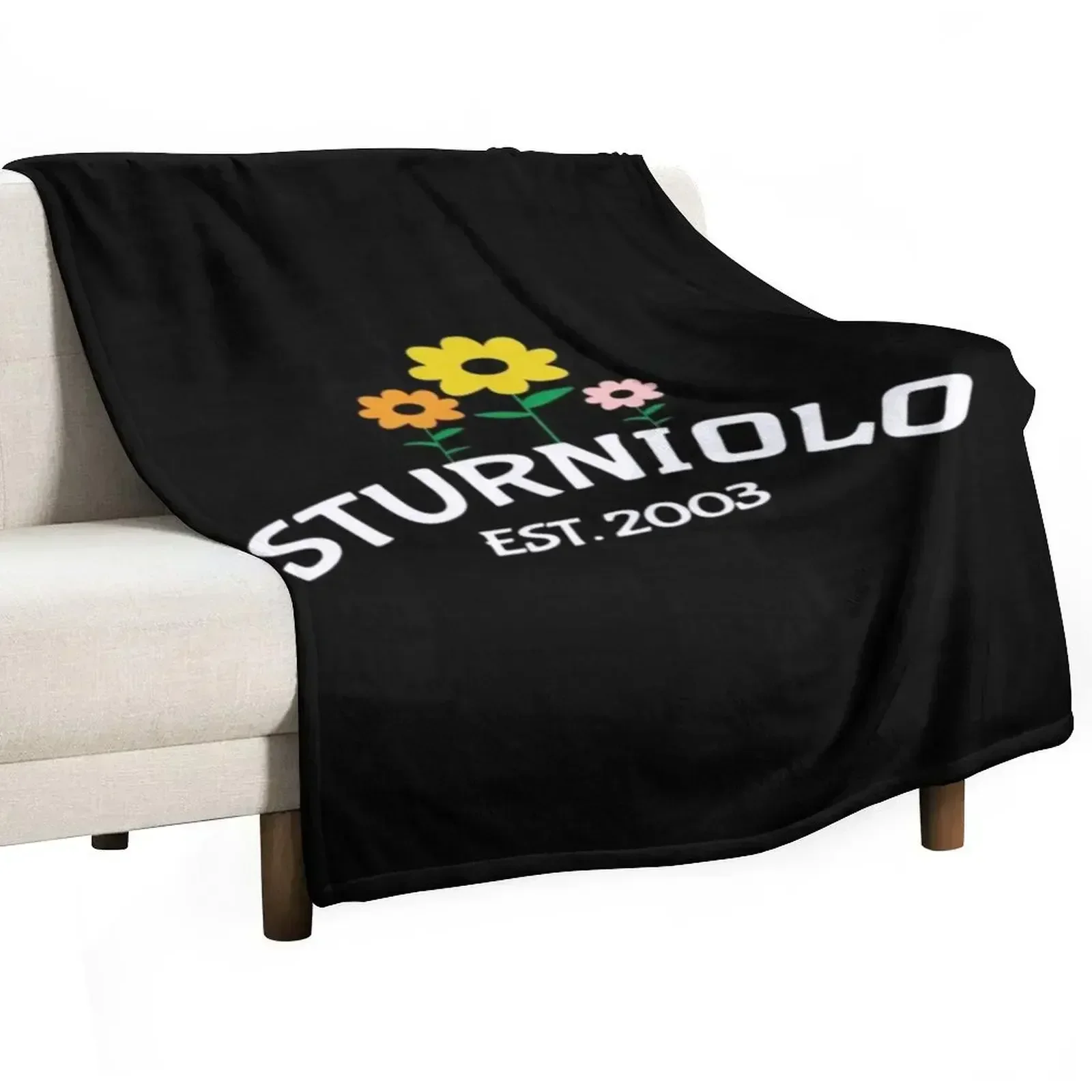 Sturniolo Triplets Merch Sturniolo Triplets Pullover Hoodie Throw Blanket Designers Luxury halloween Softest Blankets