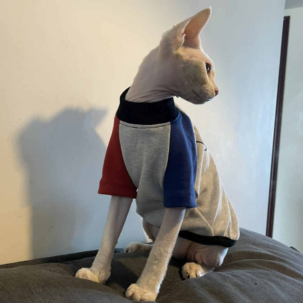 Sphynx Cat Clothing Winter Fashion Cartoon Sweatshirt for Male Cats soft Grey Cotton Coat for Devon Rex Warm Costume for Kittens