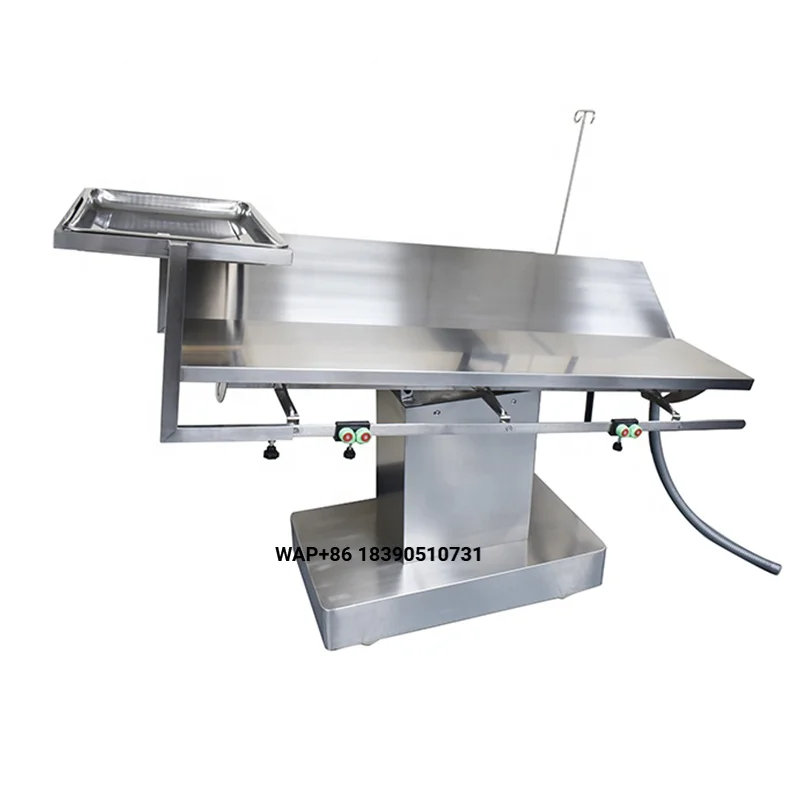 Veterinary Equipment for Animal and Pet Inspection Stainless Steel Veterinary Operating Table