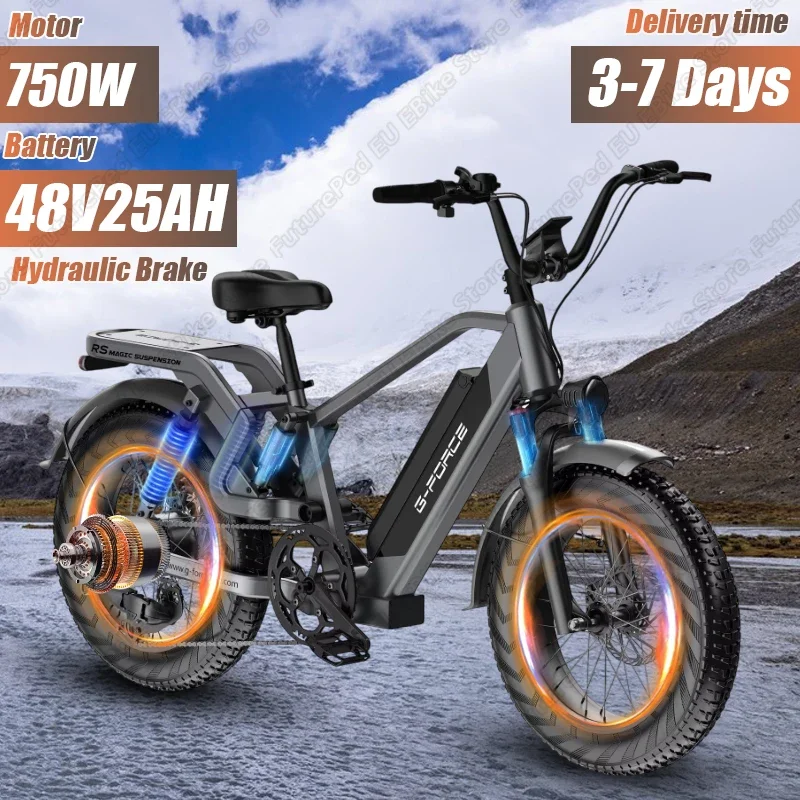 Electric Bike 750W Brushless Motor 48V25AH Lithium Battery Aldult Hydraulic Brake E-bike 20*4-In Fat Tire City Electric Bicycle