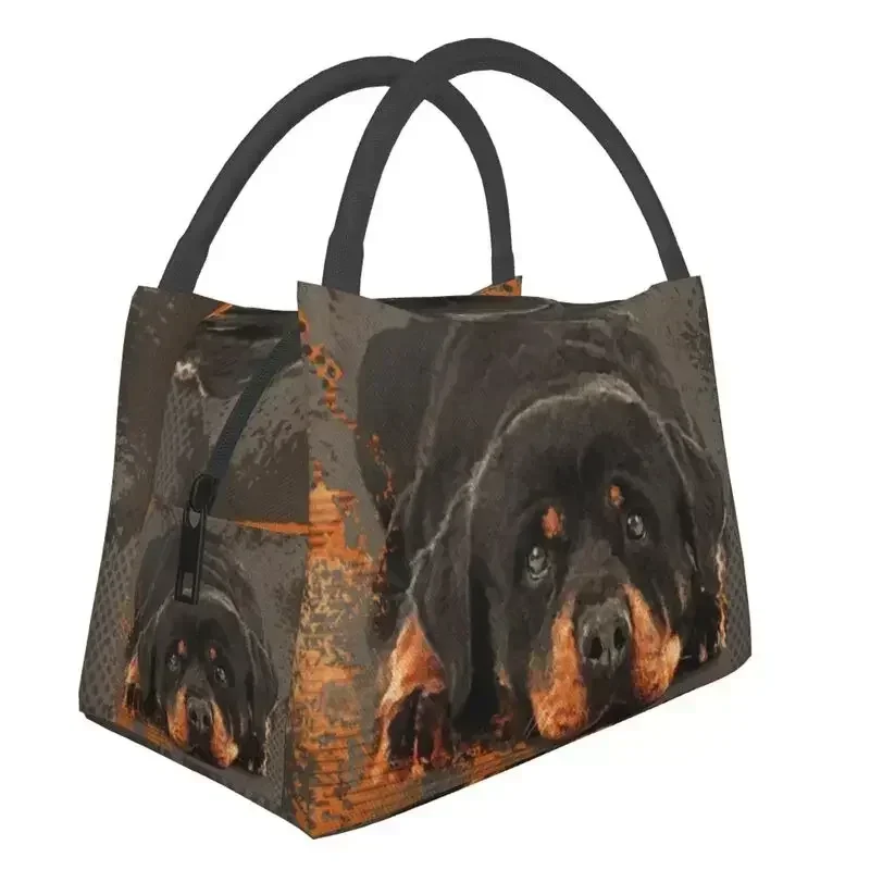 

Cute Rottweiler Dog Thermal Insulated Lunch Bags Animal Resuable Lunch Container for Office Outdoor Multifunction Meal Food Box