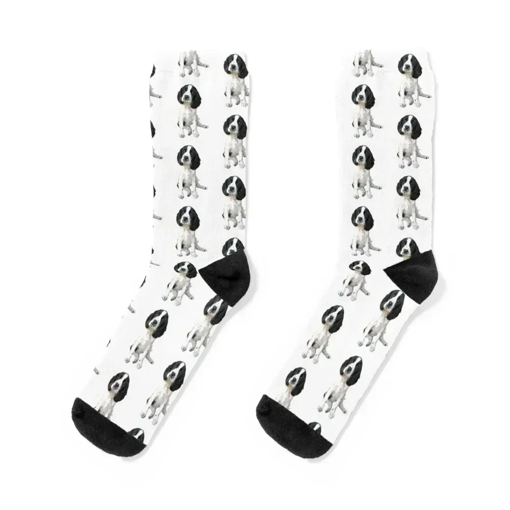 Sprocker Spaniel Socks anti-slip funny gifts colored hip hop Socks Men Women's