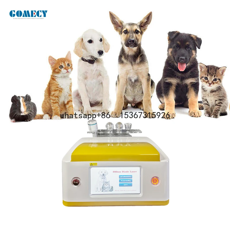 Gomezy Animals Use 980 la ser Veterinary 980 la ser Surgery Cutting Veterinary la ser Surgery