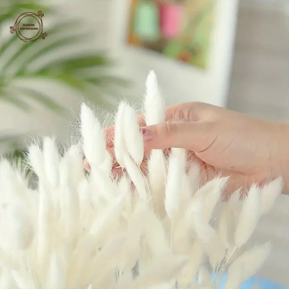 60pcs Dried Flowers Rabbit Bunny Tails Grass Mix Bouquets Wedding Party Decoration Natural Fluffy Lagurus Ovatus Boho Home Decor