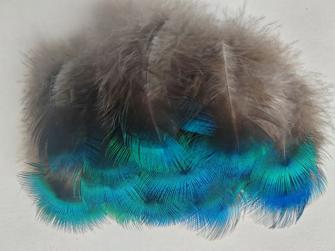 50 sztuk/partia krótkie niebieskie PEACOCK BODY PLUMAGE FEATHERS, mały paw pióropusz do rękodzieła, akcesoria do majsterkowania, błyszczący niebieski