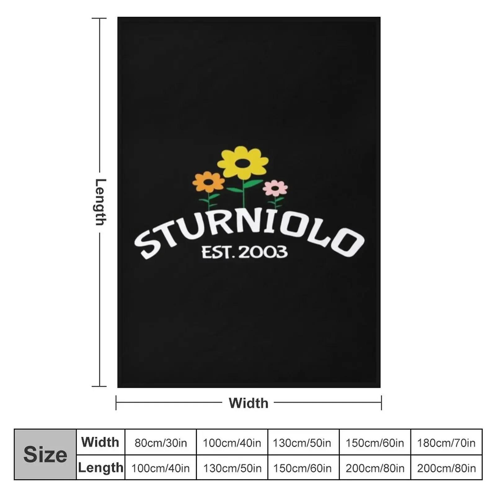 Sturniolo Triplets Merch Sturniolo Triplets Pullover Hoodie Throw Blanket Retros Beach Blankets