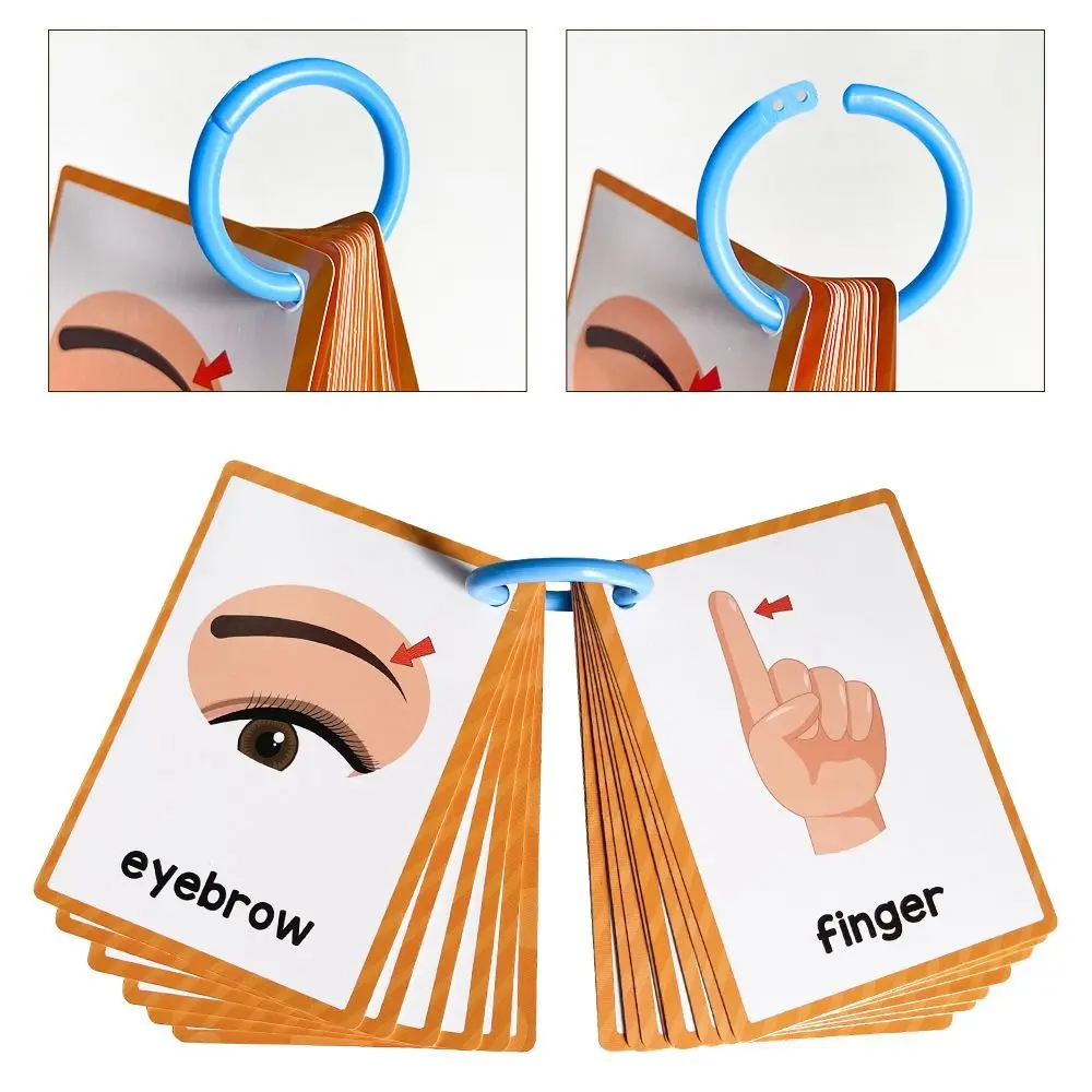 

Montessori Flashcards Double Side English Vocabulary Vocabulary Cards Early Educational Toddler Teaching Aids