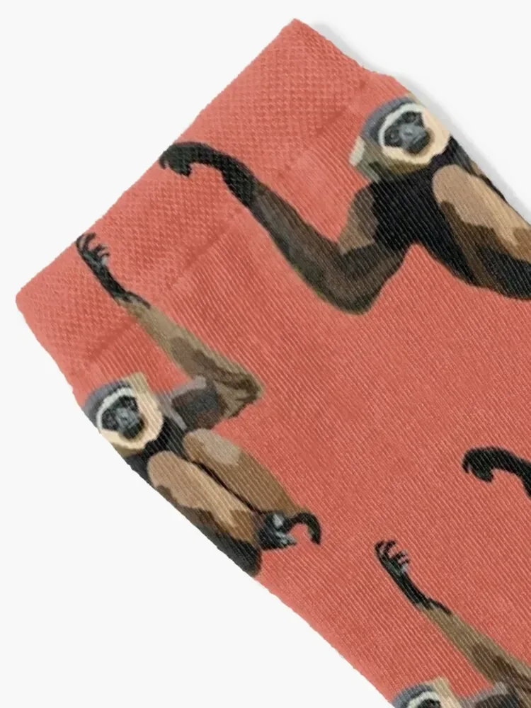 A is for Agile Gibbon Socks new year winter gifts Socks For Girls Men's