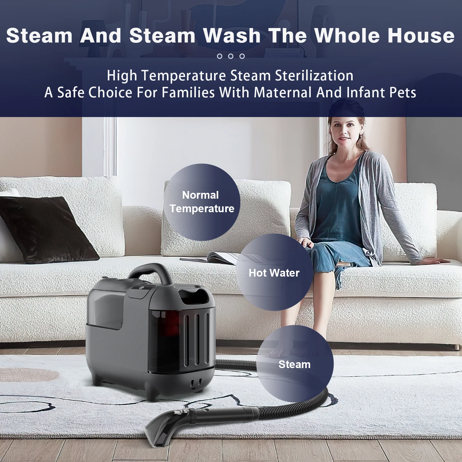 High Temperature Spot Cleaner Portable Car Wash Steam Cleaner Portable Carpet Vacuum Fabric Cleaning Machine