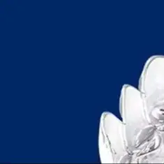 

4 шт./компл., экстрактор зубных брекетов, ортодонтический выравниватель, жевательные средства, выравниватель для полости рта, брекеты для удаления, крючок, инструмент, силиконовый лоток, сиденья