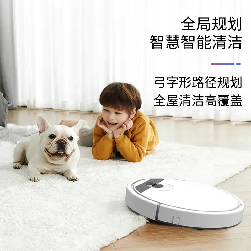 robot vacuum cleaner ; smart home