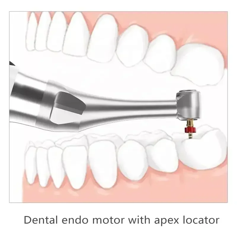 Wireless endo motor with apex locator Den tal endomotor