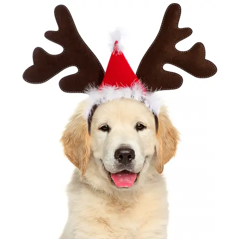 Diadema con astas para mascotas, accesorios navideños para disfraz de perro y Reno, tocado con orejas de Animal para gatos y cachorros, Año Nuevo, 4 Uds.