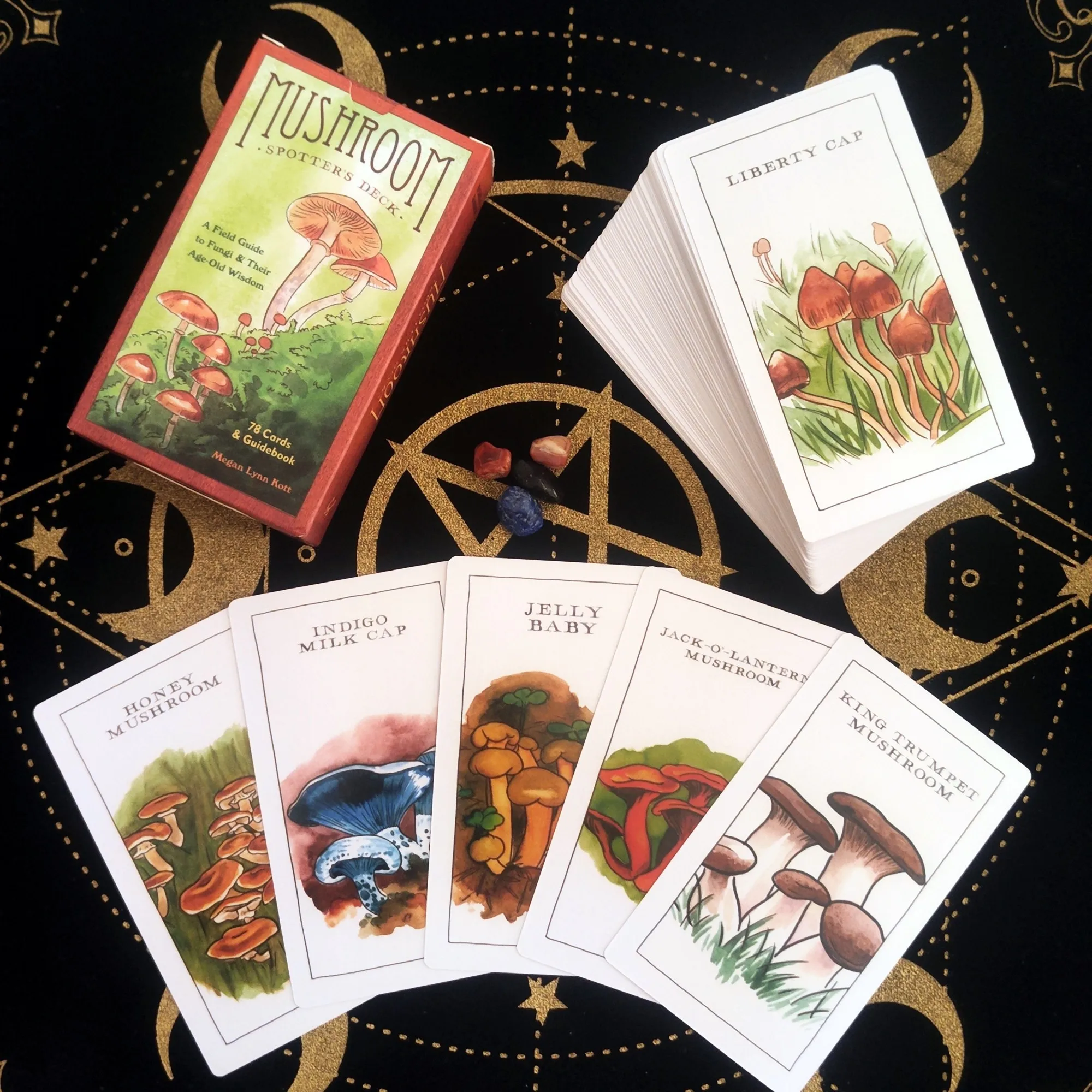 

12*7cm Mushroom Spotters Tarot Deck 78 Pcs Chou Chou Tarot Cards for Beginners Kawaii