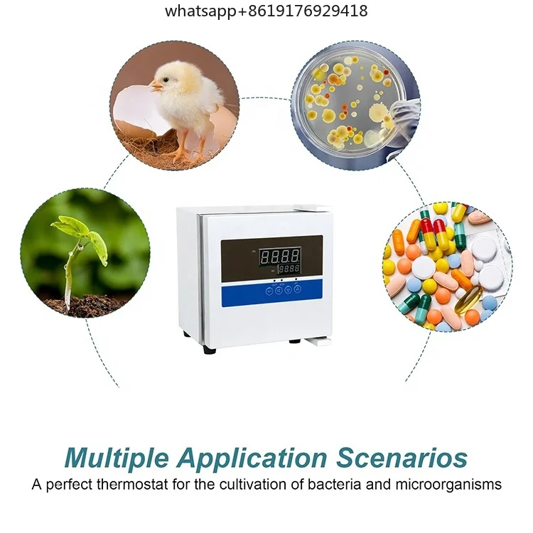 Labor 2L Mini-Thermostat, natürliche Konvektion, tragbarer bakteriologischer Inkubator mit intelligentem PID