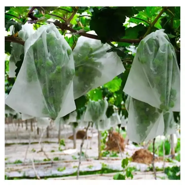 Apple Grapes Strawberry Fruit Grow Bags Non-woven Plant Protection Bags for Pest Control Anti-Bird Gardening Tools