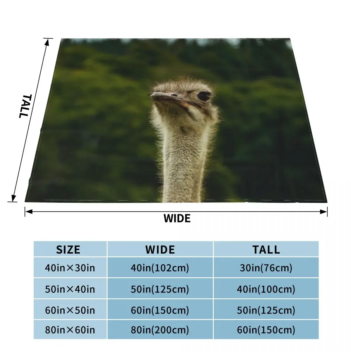 Ostrich Stood Tall Photograph - Ostrich Photography Throw Blanket Fashion Sofas Luxury Brand Designers Sofa Hairys Blankets