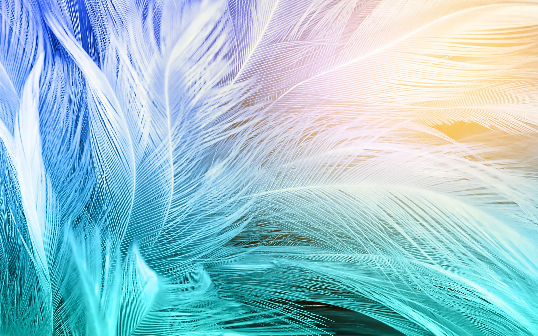 Custom size wallpaper black and white colorful feather mural home decoration line feather decorative painting 3d wallpaper