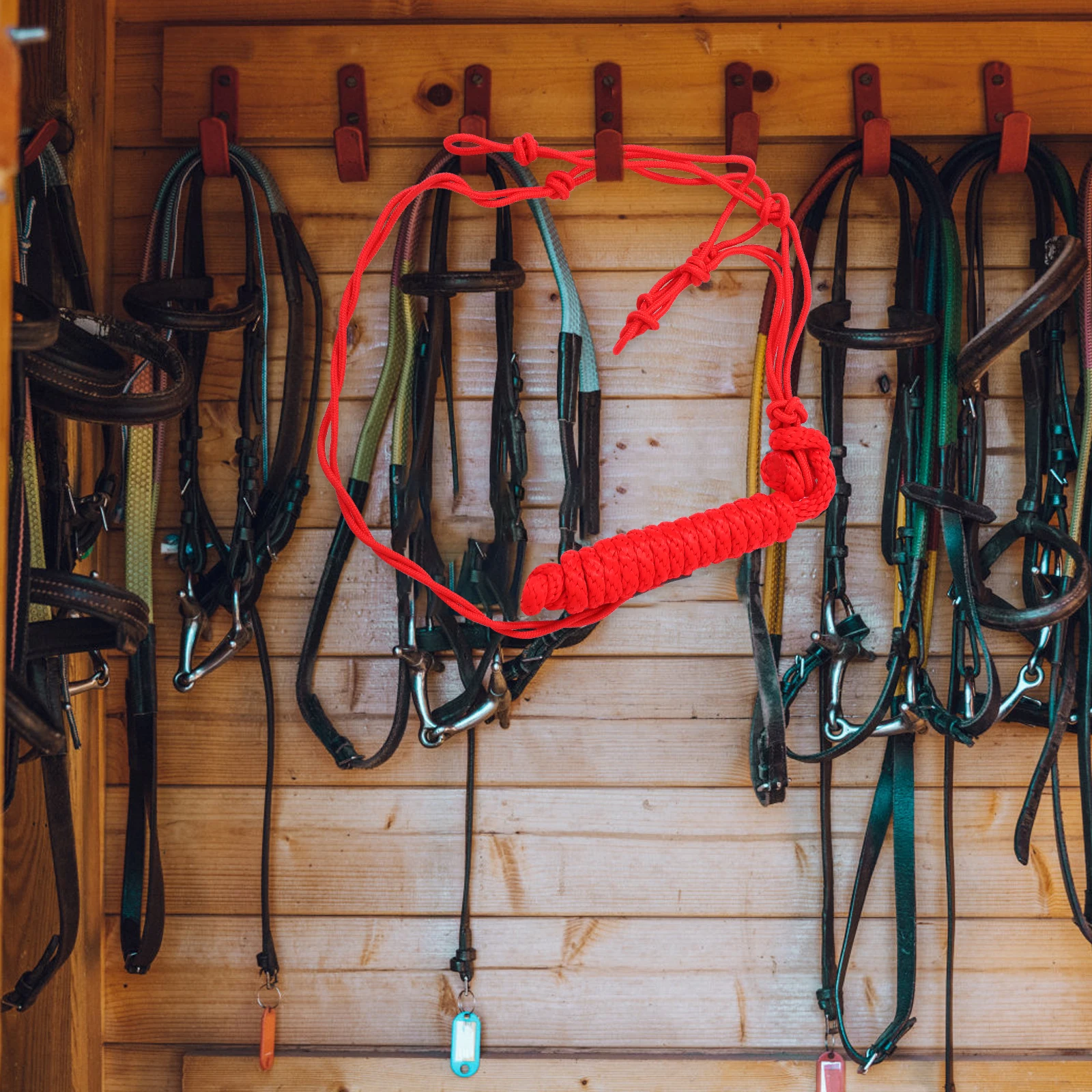 

Bridle Horse Supplies Rope Training Halter Tied Padded Accessories Halters