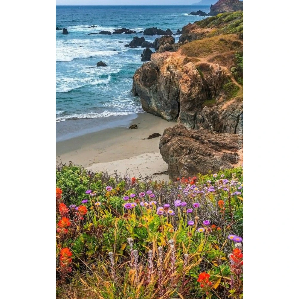 quebra-cabecas-de-500-1000-1200-2000-pecas-com-temas-de-flores-e-paisagens-marinhas-jogos-de-atividade-familiar-para-sala-de-jogos-quarto-decoracao-de-casa-e-presente