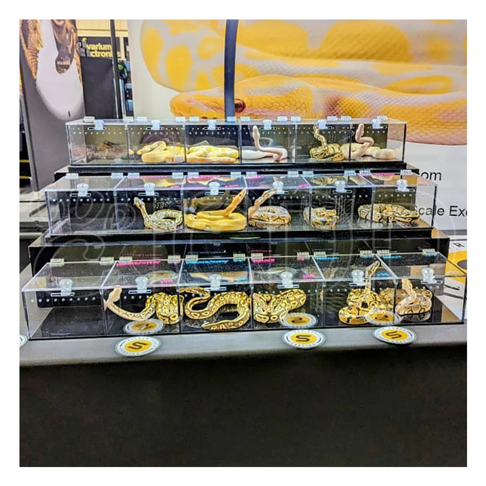 

Reptile Expo Show 3 Shelves Acrylic/PVC Clear 80x15x10cm Terrarium/Vivarium Black Suitcase Reptile Snake Display Case
