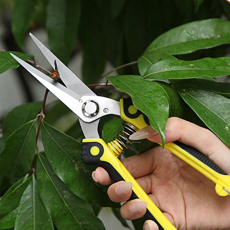 Gardening Scissors Sharp Nosed Shears Orchard Fruit Grape Apple Picking Pruning Branch Cutting Floral Shears Portable Hand Tool