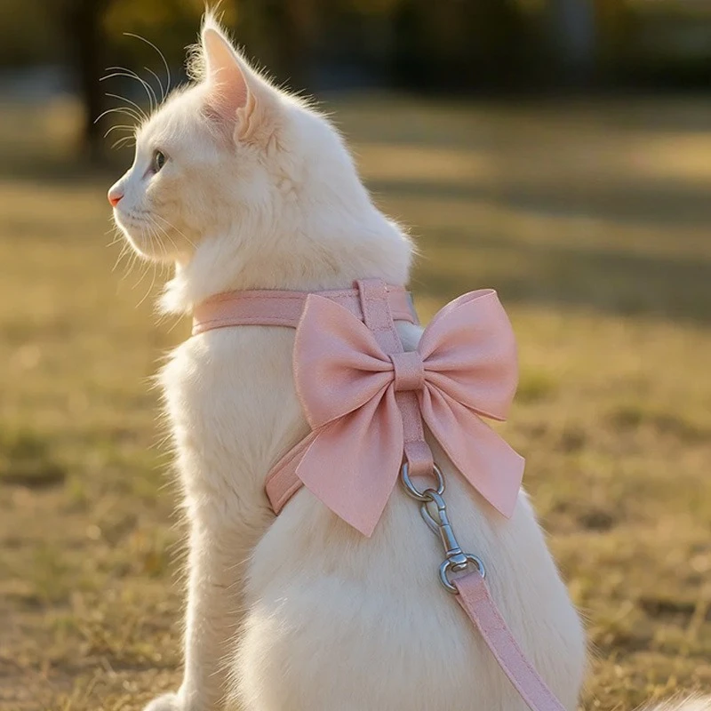 #22 Latest Puppy Harnesses Updates