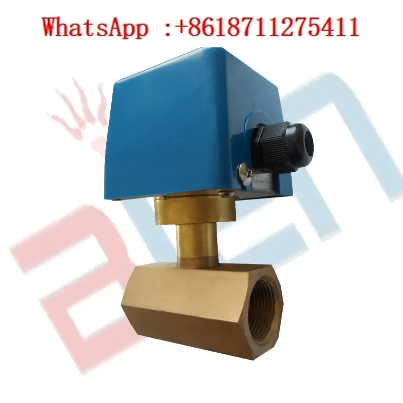 BIEN. Interruptor de flujo tipo deflector FD02/tipo gas-líquido de doble propósito