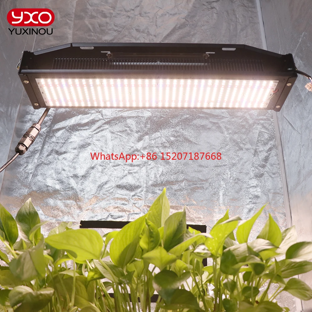 Samsung Led Grow Light Full Spectrum LM301H 240W Hydroponics Growbox Phytolamp For Plants Tent Flowers Greenhouse Veg Bloom Lamp