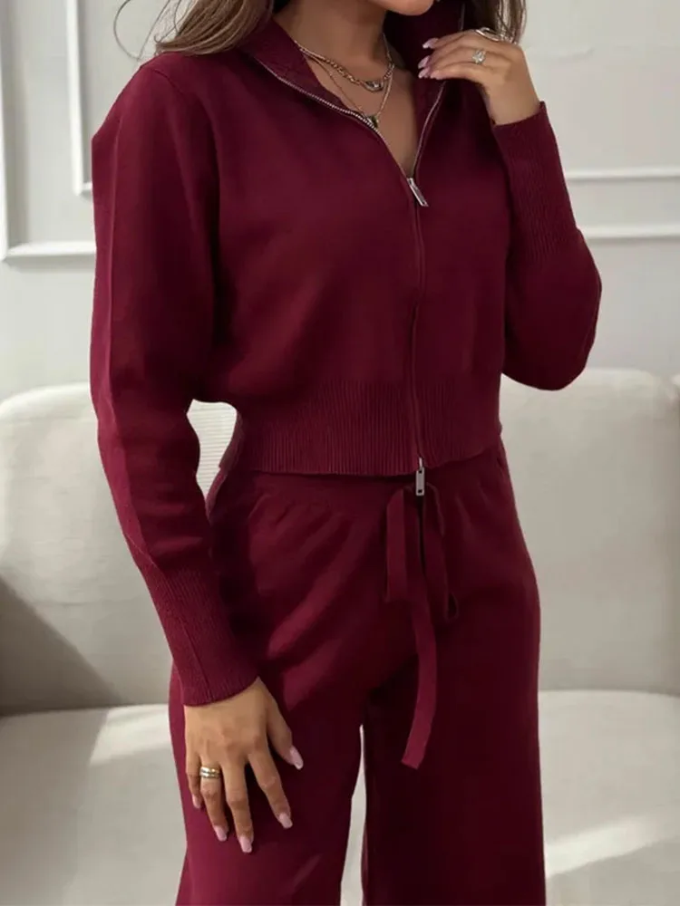 

Модное пальто и брюки с воротником-стойкой на молнии, костюм из 2 предметов, повседневный женский однотонный комплект с длинным рукавом, осень-зима, элегантный вязаный прямой комплект