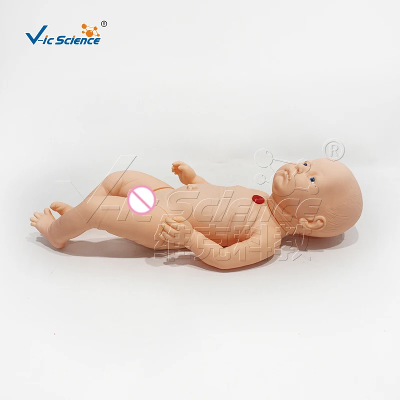 Advanced infant tracheotomy nursing model