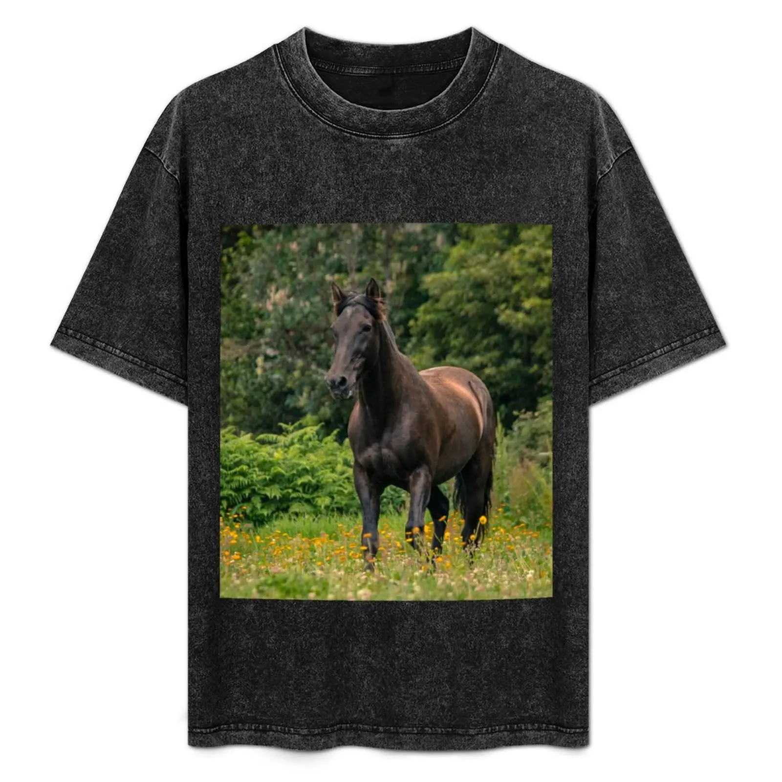 Caballo de cuento de hadas negro, raza Lusitano, corriendo libre al aire libre en el campo de flores. Camiseta camisetas con estampados Camiseta
