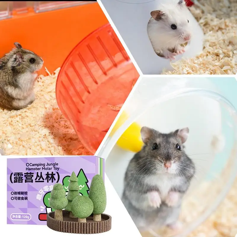 Thumbnail 4 - #17 Compare Small Animal Habitats & Cages Before You Buy