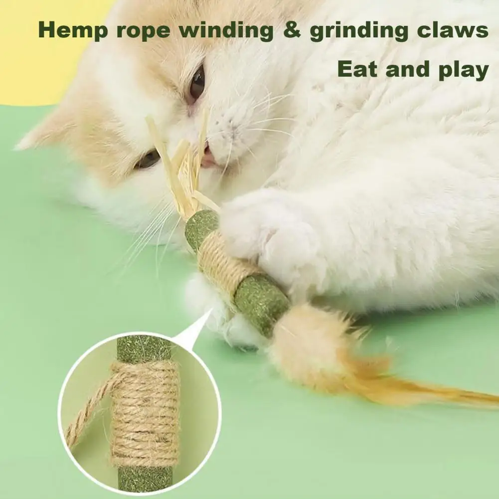 Catnip Cat Toy Cat Dental Health Chew Toy Natural Catnip Silvervine Chew Sticks for Cats Dental Care Anxiety Relief Appetite