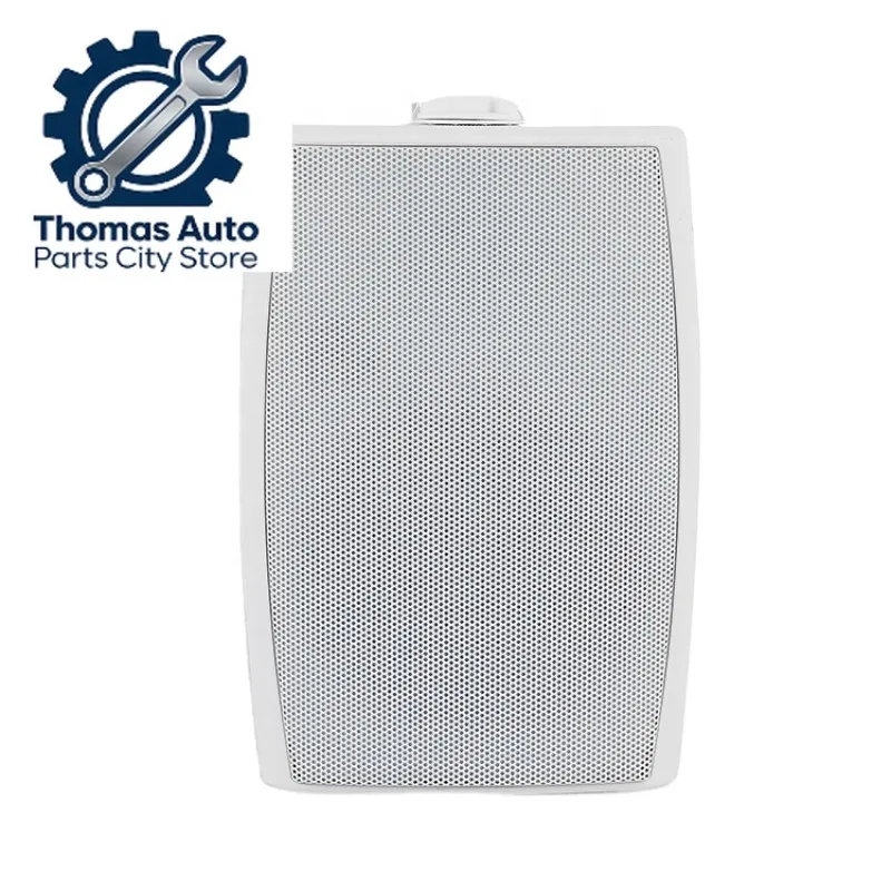 

6.5 Inch Woofer 1 Inch Tweeter Switch Transformer Optional Wall Mount Speakers For Home Theater In Wall Speaker